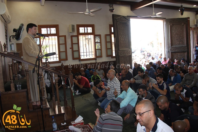 ra2ed fat7iya (1).JPG